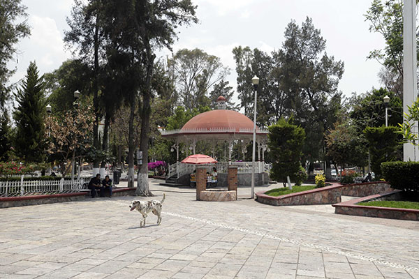 ¿Municipio 218? Totimehuacán busca reconfigurar el territorio de Puebla