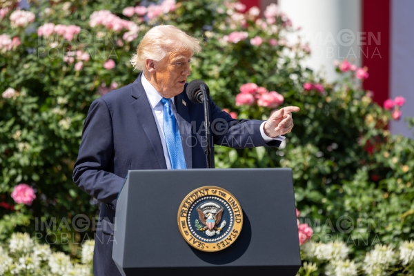 Trump ordena suspensión de entrevistas para visas de estudiantes extranjeros
