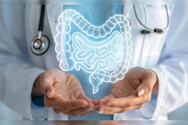 “Toda enfermedad comienza en el intestino”, ¿mito o realidad?
