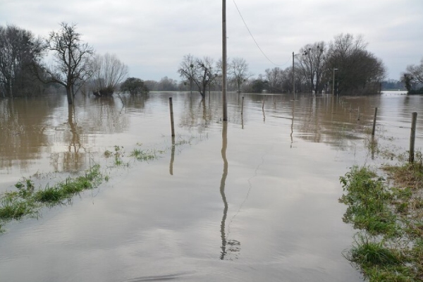 Superan los 150 las víctimas mortales de la inundación en Nigeria