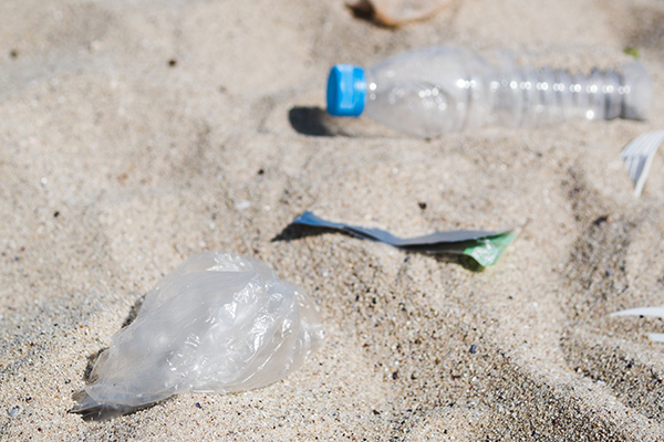 Cruzada contra el plástico: SEMAR y SEMARNAT activan limpieza masiva en playas