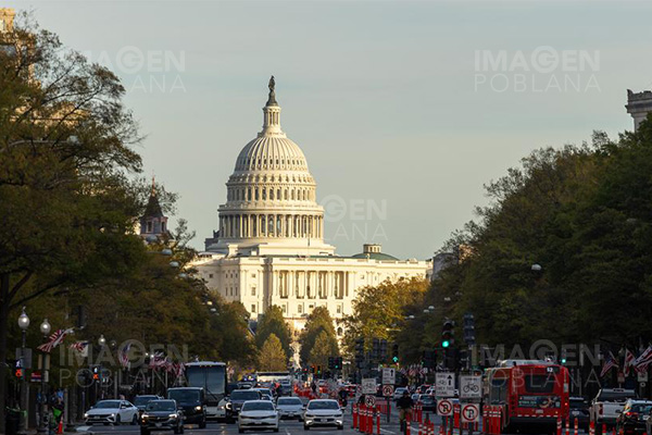 Demócratas exigen comprobar si Trump está en los archivos de Epstein como sugiere Musk