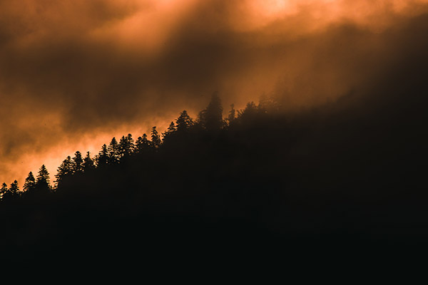 Incendios forestales y humo: 5 consejos para cuidar tu salud