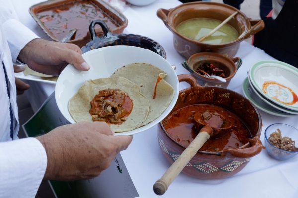 Feria del Nopal 2025: Productores locales y platillos tradicionales