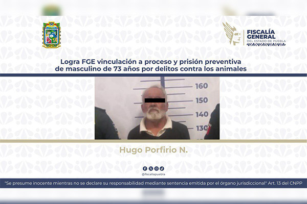 Prisión preventiva para el cruel anciano que mató a palos a dos perros