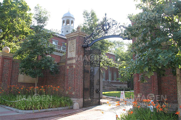EU levanta restricción de visas para estudiantes extranjeros en Harvard