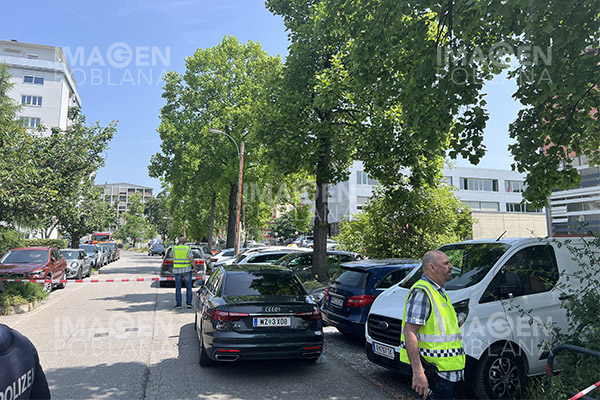 Autor del tiroteo en la escuela austriaca de Graz poseía armas legalmente