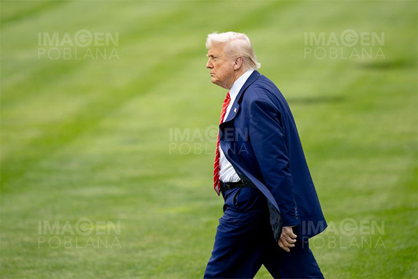 Trump invocaría Ley de Insurrección para reprimir protestas en California