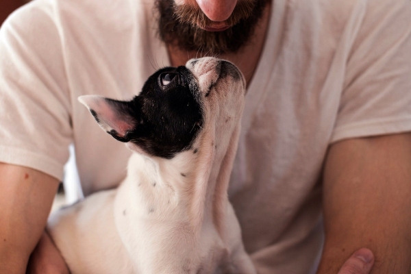 ¿Los perros se parecen a sus dueños? La ciencia dice que sí