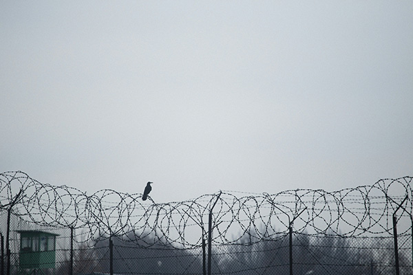 EU se alista para enviar a miles de migrantes a Guantánamo