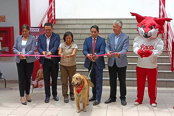 UVM amplía su oferta educativa con la carrera en Medicina Veterinaria y Zootecnia