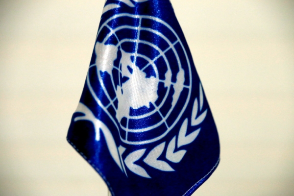 En medio de las ofensivas, el Consejo de Seguridad de la ONU llama un alto al fuego