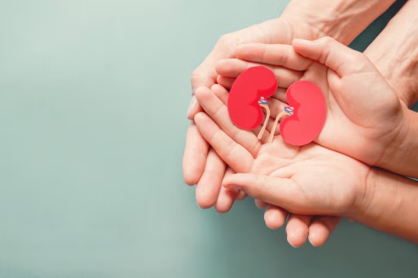 Todos los adultos en Irlanda serán donantes de órganos, salvo objeción expresa