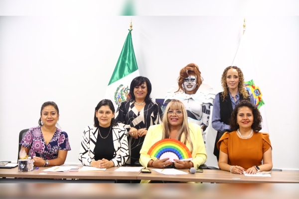 Avalan en Comisión del Congreso propuesta legislativa a favor de mujeres jubiladas