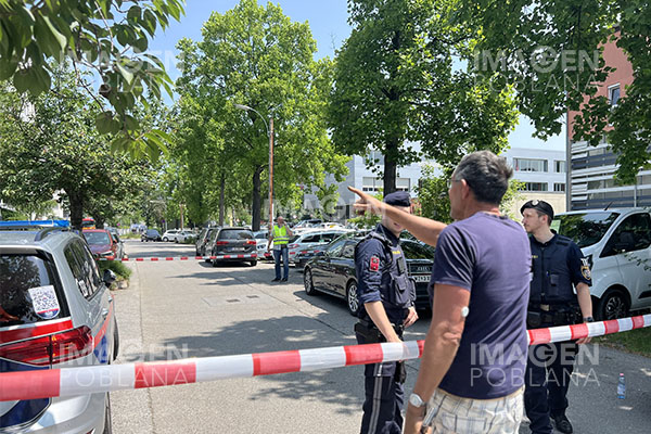 Austria endurece la ley sobre armas tras tiroteo en escuela de Graz