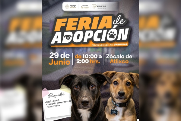 Amor peludo en Atlixco: Ariadna Ayala invita a abrir tu corazón en la Feria de Adopción Canina