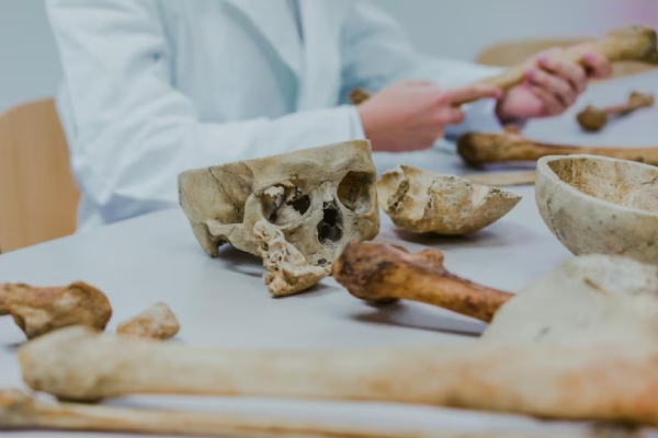 Científicos chinos resuelven el misterio del “hombre dragón” tras casi un siglo