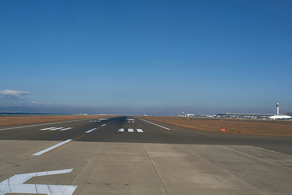 Aeropuerto de Japón cancela 10 vuelos debido a un oso en la pista de aterrizaje