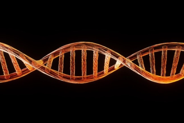 Reino Unido inicia proyecto para fabricar genomas humanos en laboratorio