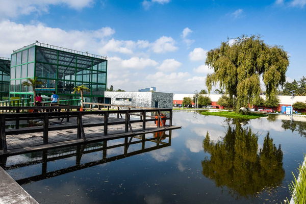 Reabrirán el Parque Bicentenario a casi tres meses de la tragedia en el Axe Ceremonia
