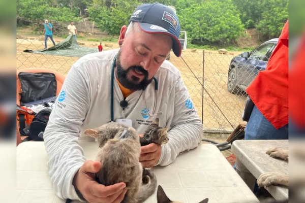 Humane World for Animals ayuda a más de 1,000 animales afectados por el huracán Erick