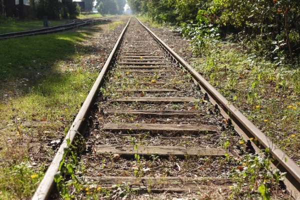 Peligrosa búsqueda de likes: sujeto arriesga su vida bajo un tren en movimiento