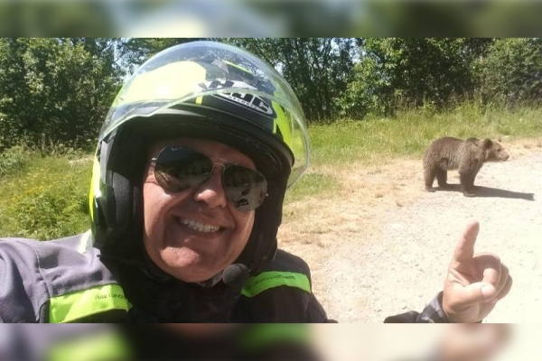 Alimentar a un oso le costó la vida a un turista en Rumania