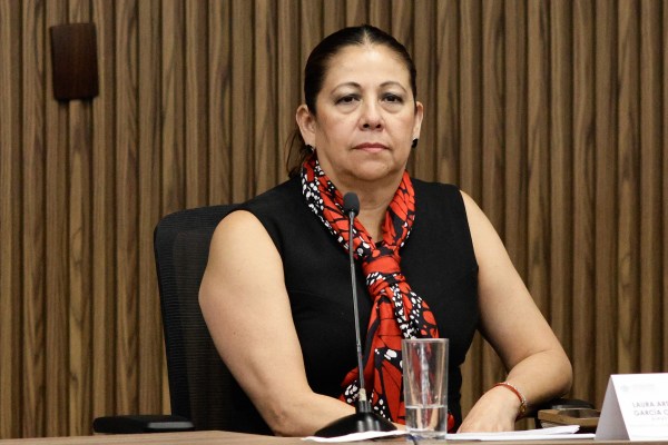 Productivo trabajo de la LXII Legislatura con 216 aprobaciones: Laura Artemisa