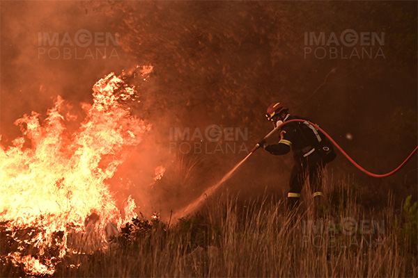 Incendios en España afectan casi 60,000 hectáreas en un día
