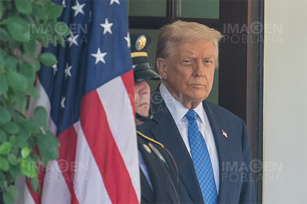 Trump no planea asistir a primera reunión entre Putin y Zelenski