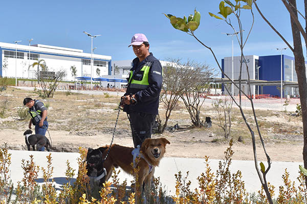 Herpetario de la FCB imparte capacitación para manejo de organismos vivos en CU2