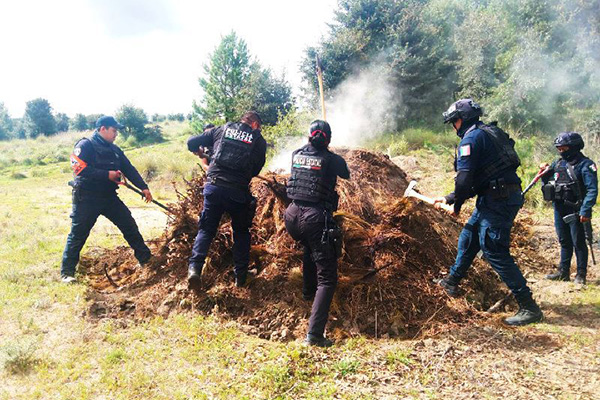 Inhabilita Policía Forestal 11 hornos clandestinos para la deshidratación de madera
