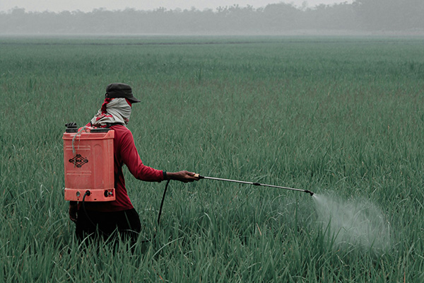 México decreta prohibición de 35 plaguicidas en la agricultura