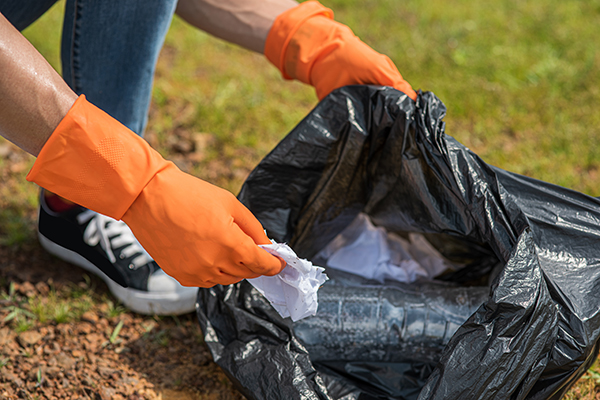 Hallan feto en bolsa de basura; fauna lo estaba devorando