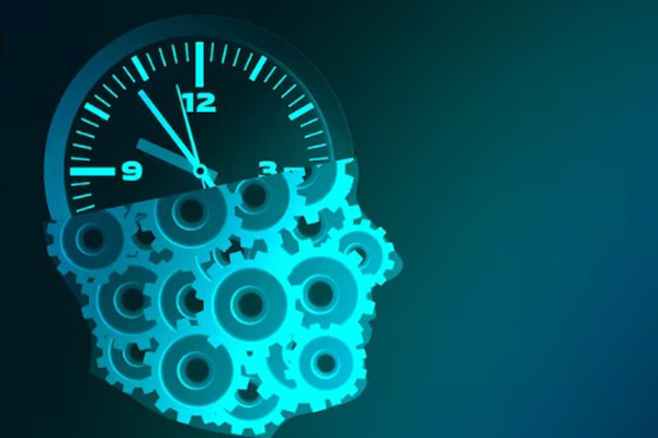 Para qué sirve el "reloj del kilometraje" dentro de nuestro cerebro