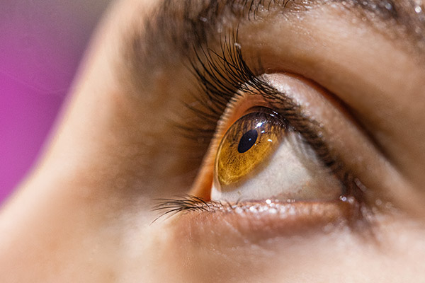 Científicos crean un implante que permite recuperar la visión tras la atrofia de la retina