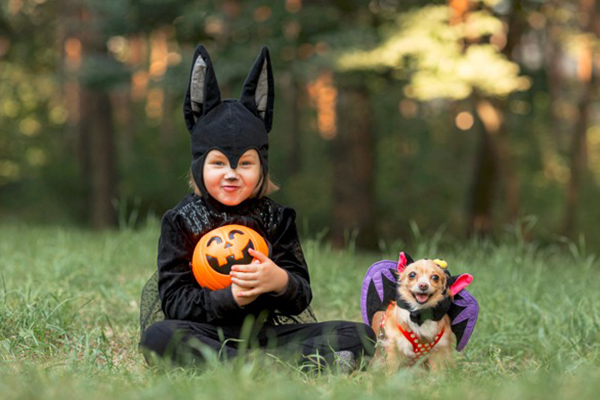 Halloween y Día de Muertos: celebra con tu perro y crea recuerdos inolvidables