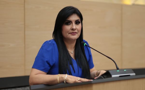 Impulsa Delfina Pozos iniciativa para atender salud mental materna