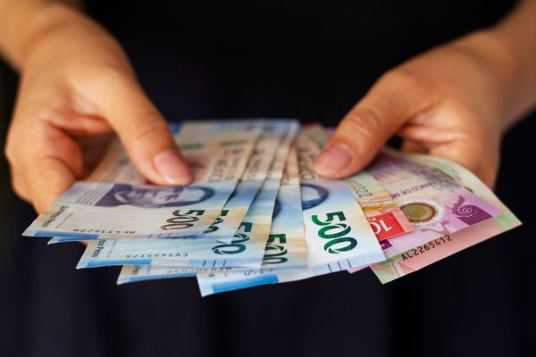 ¿Cómo cerrará la economía este año?