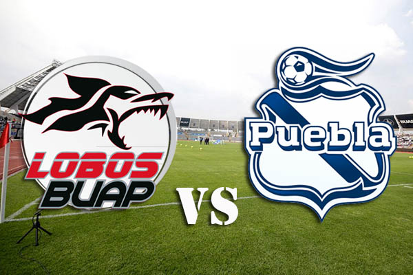 Lobos BUAP vs Puebla: el derbi comienza a madurar